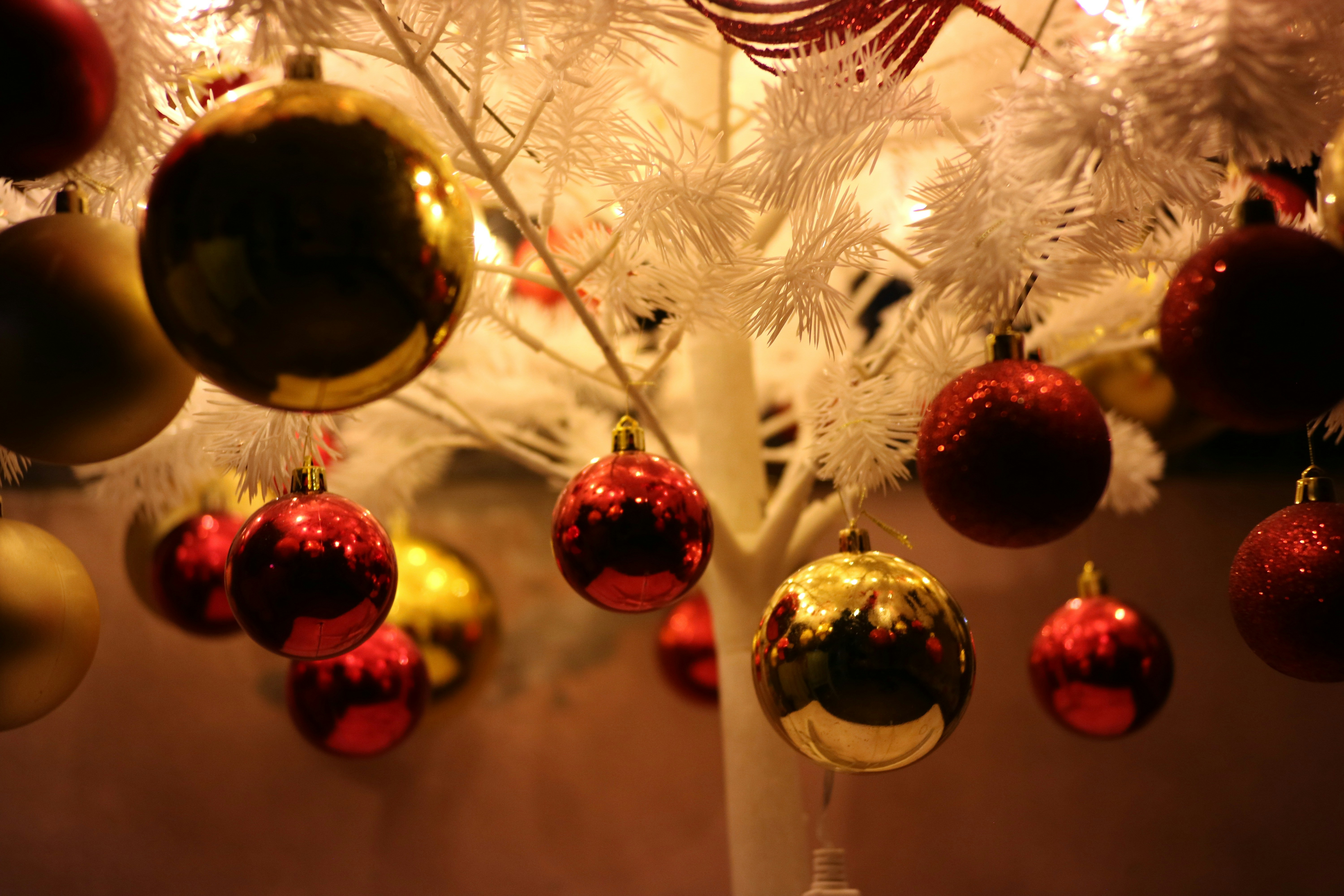 Photo by kurtliwanag