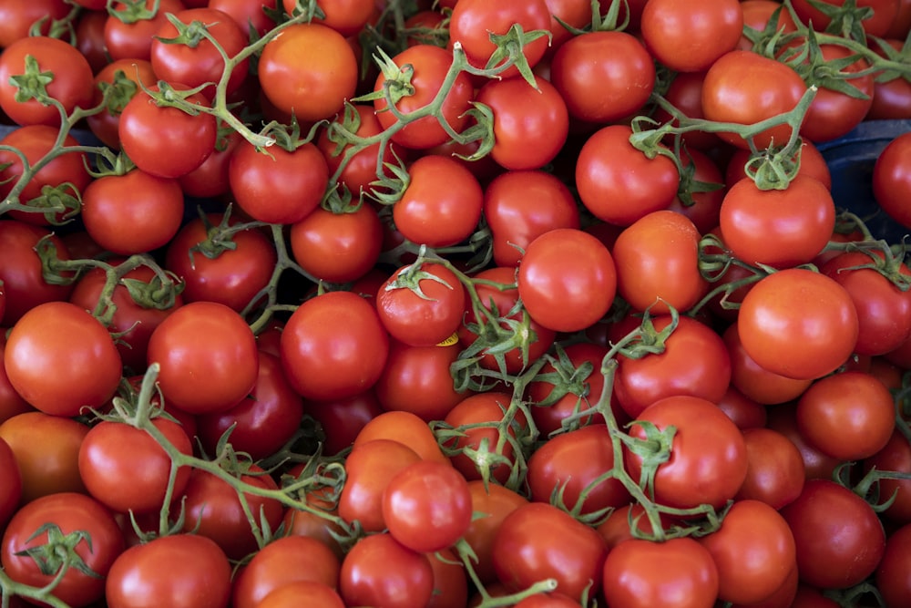 red tomato lot on brown wooden table