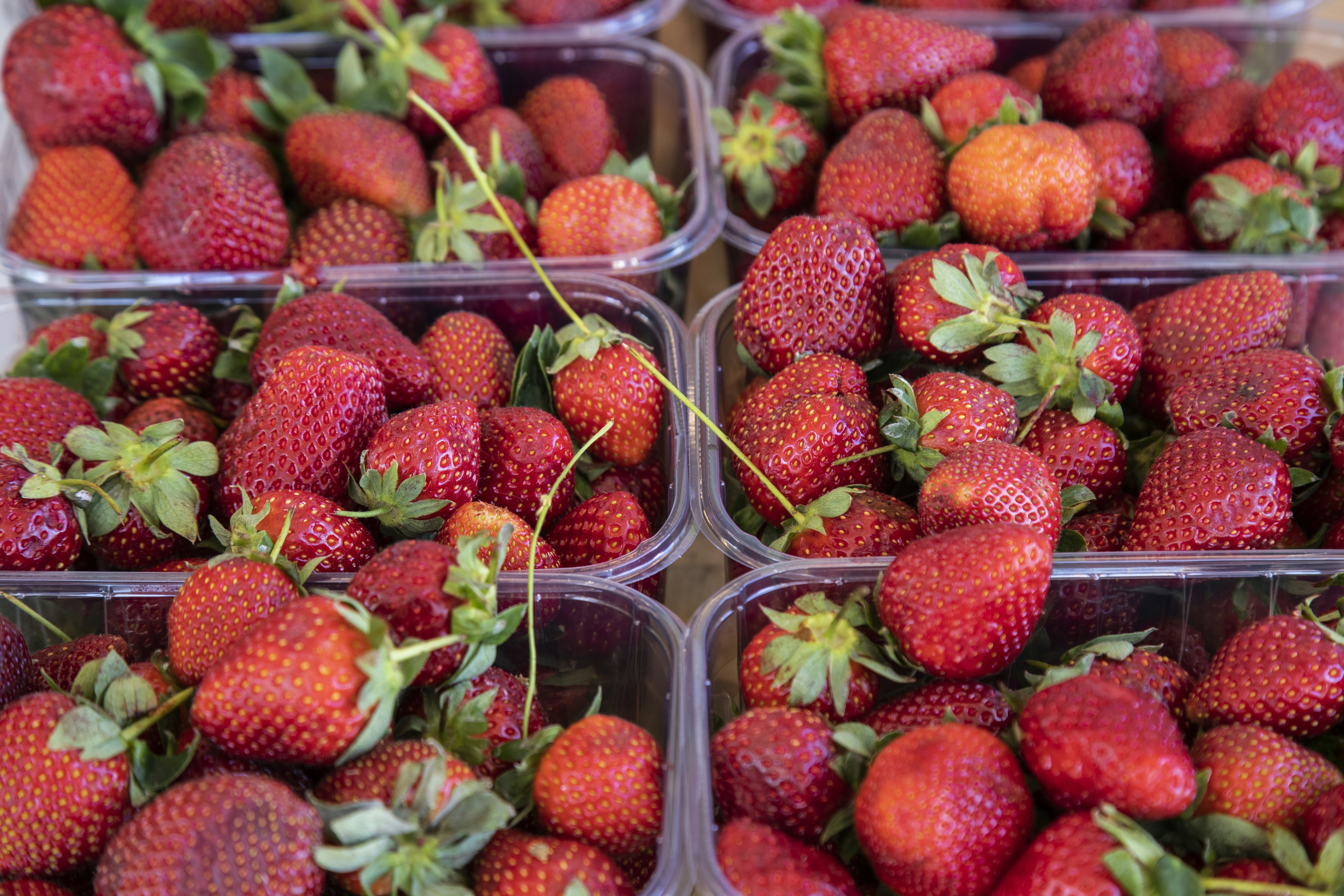 strawberries in clear plastic container