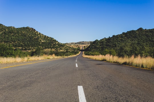 gray concrete road between green grass field during daytime in Free State South Africa