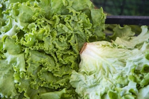 green lettuce on black metal grill