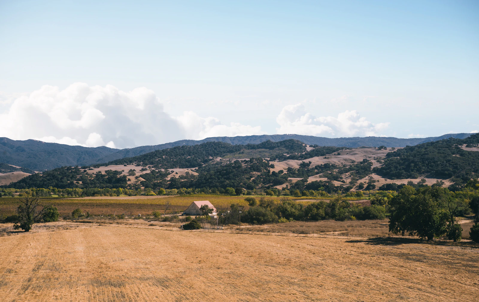 Vineyard country under the hills of the Napa Valley