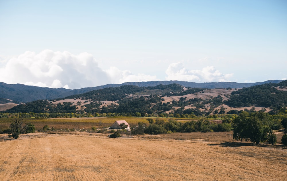 campo de hierba verde cerca de la montaña bajo el cielo azul durante el día