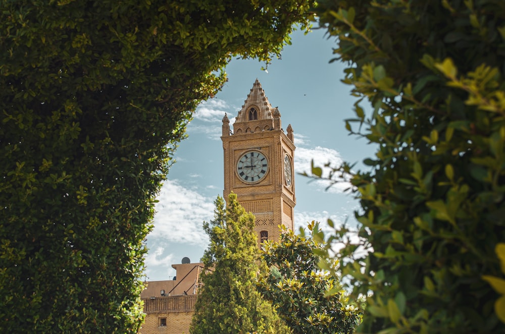 edificio in cemento marrone sotto il cielo blu durante il giorno