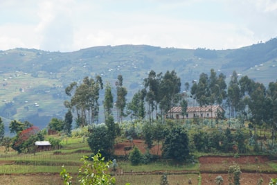 A rural landscape features a small house surrounded by tall trees. The background reveals rolling green hills under a partly cloudy sky, highlighting agricultural fields and patches of natural vegetation.