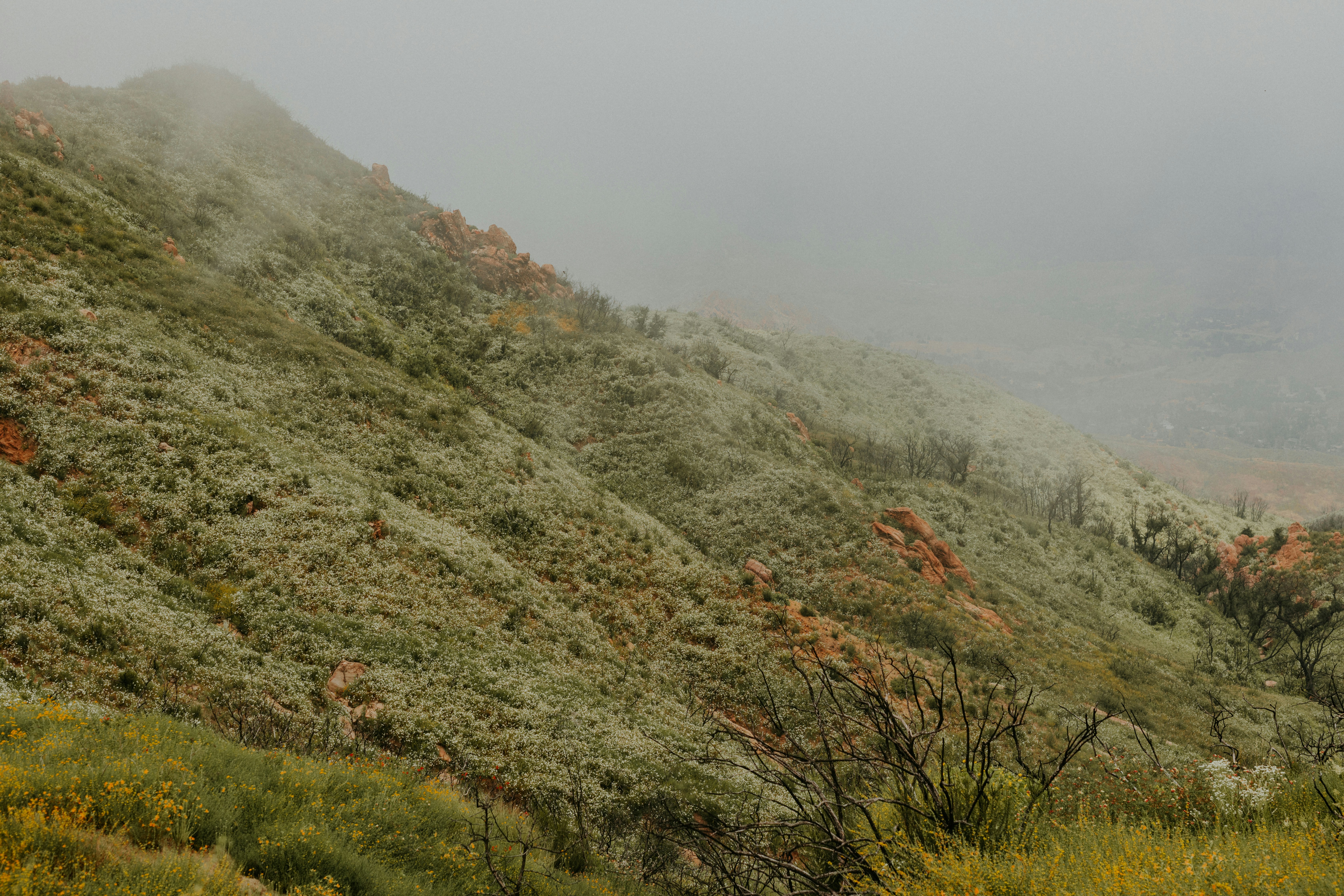 Photo by nate_dumlao