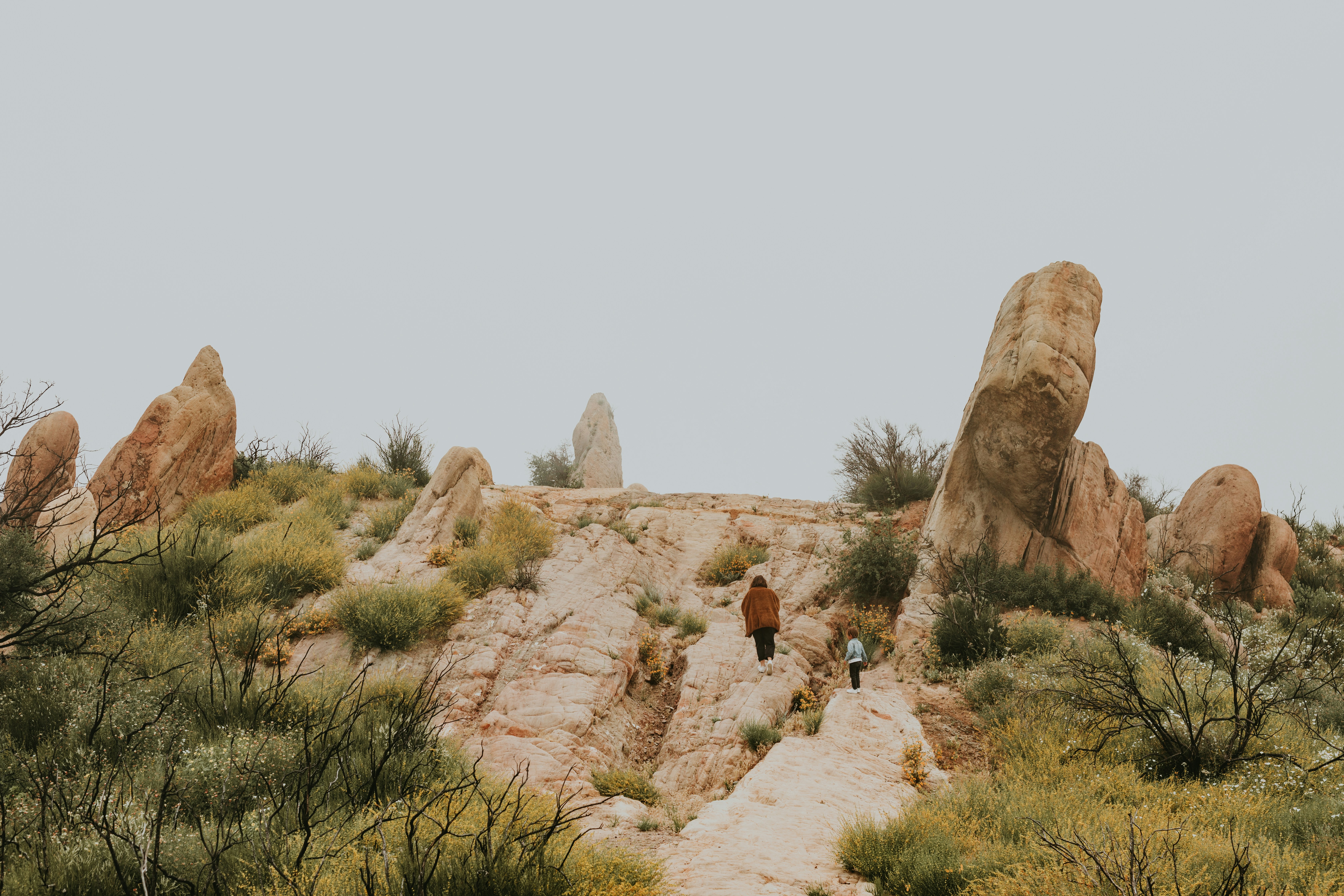 Photo by nate_dumlao