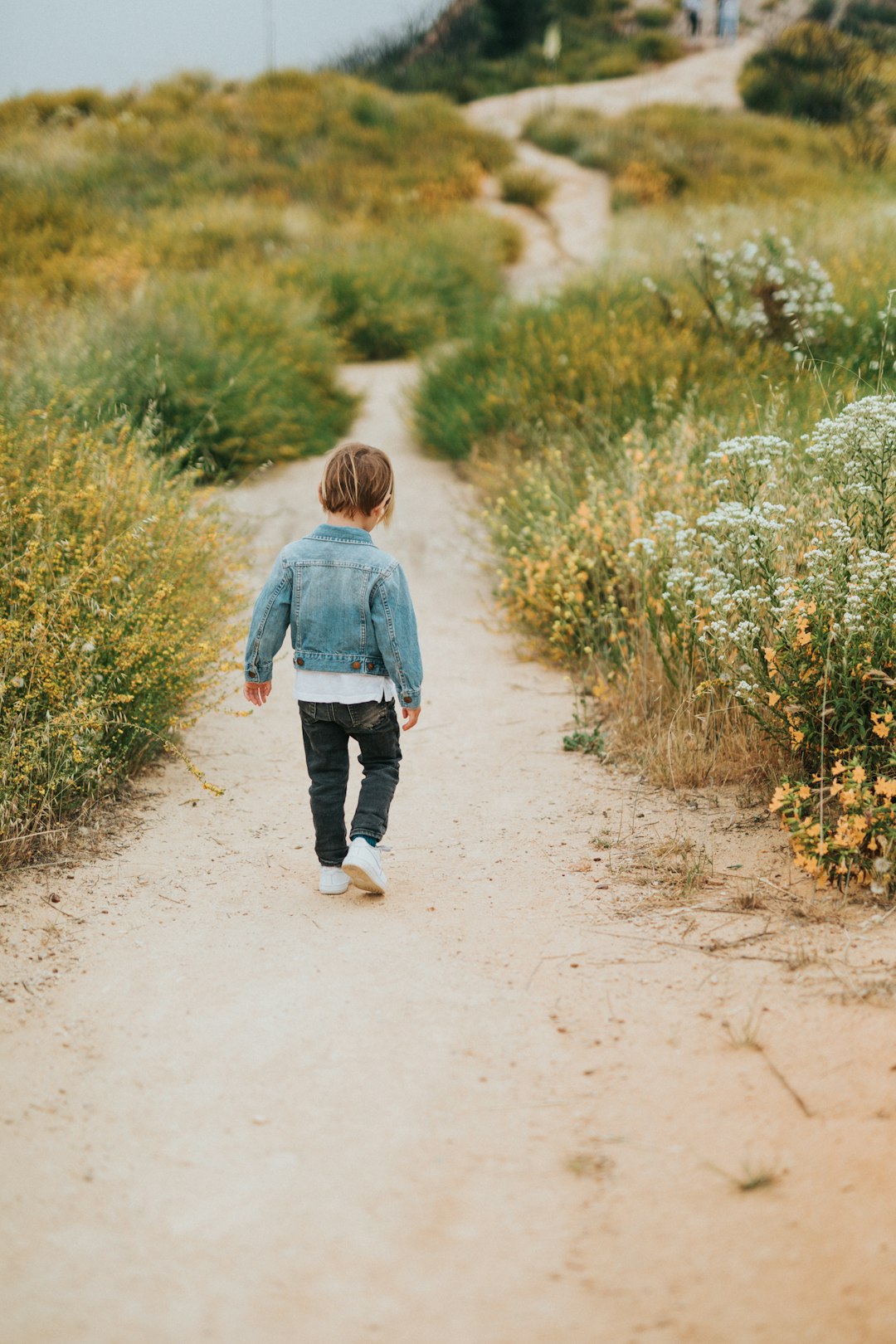 boy in blue sweater walking on dirt road during daytime