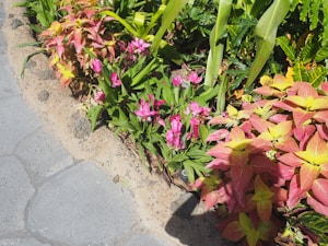 Flower Bed Stone