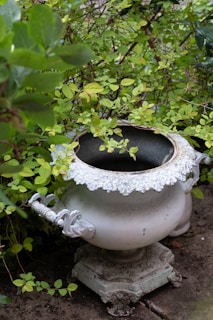 A large, ornate planter with intricate designs is nestled among lush green foliage. The urn features decorative handles and sits on a stone surface, partially covered by leaves.