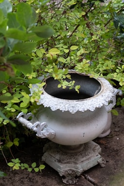 A large, ornate planter with intricate designs is nestled among lush green foliage. The urn features decorative handles and sits on a stone surface, partially covered by leaves.