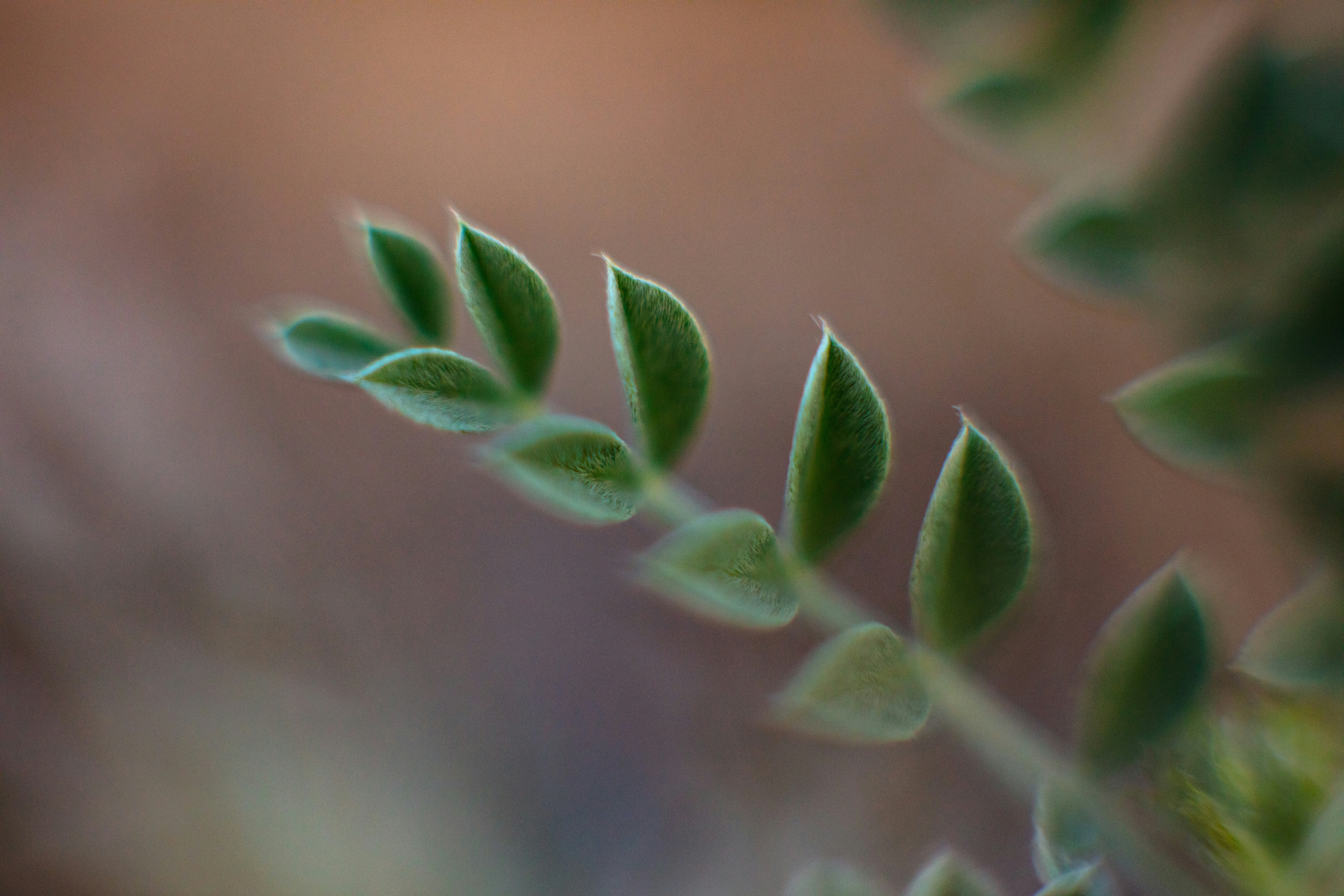 Photo by worldsbetweenlines