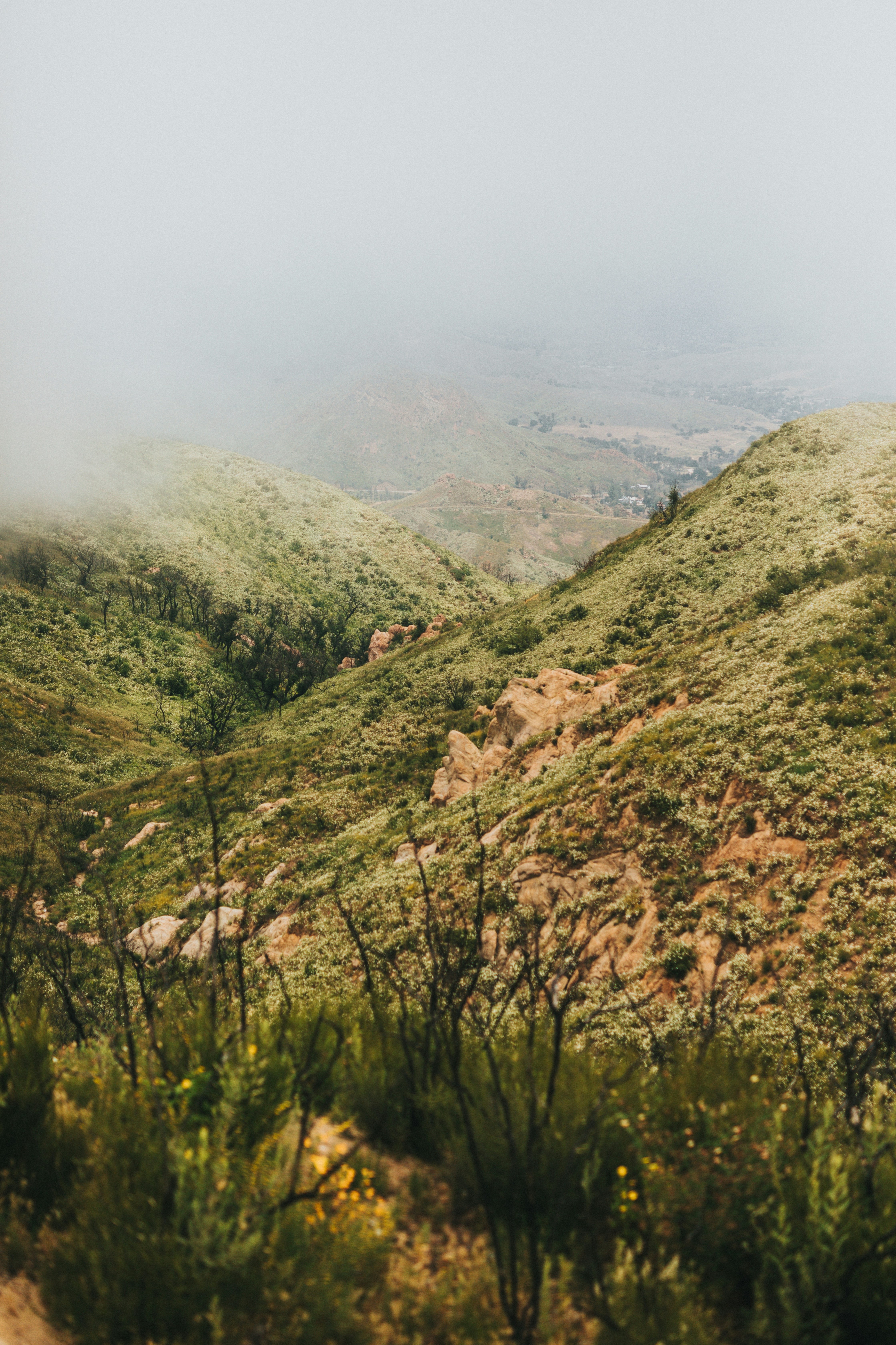 Photo by nate_dumlao