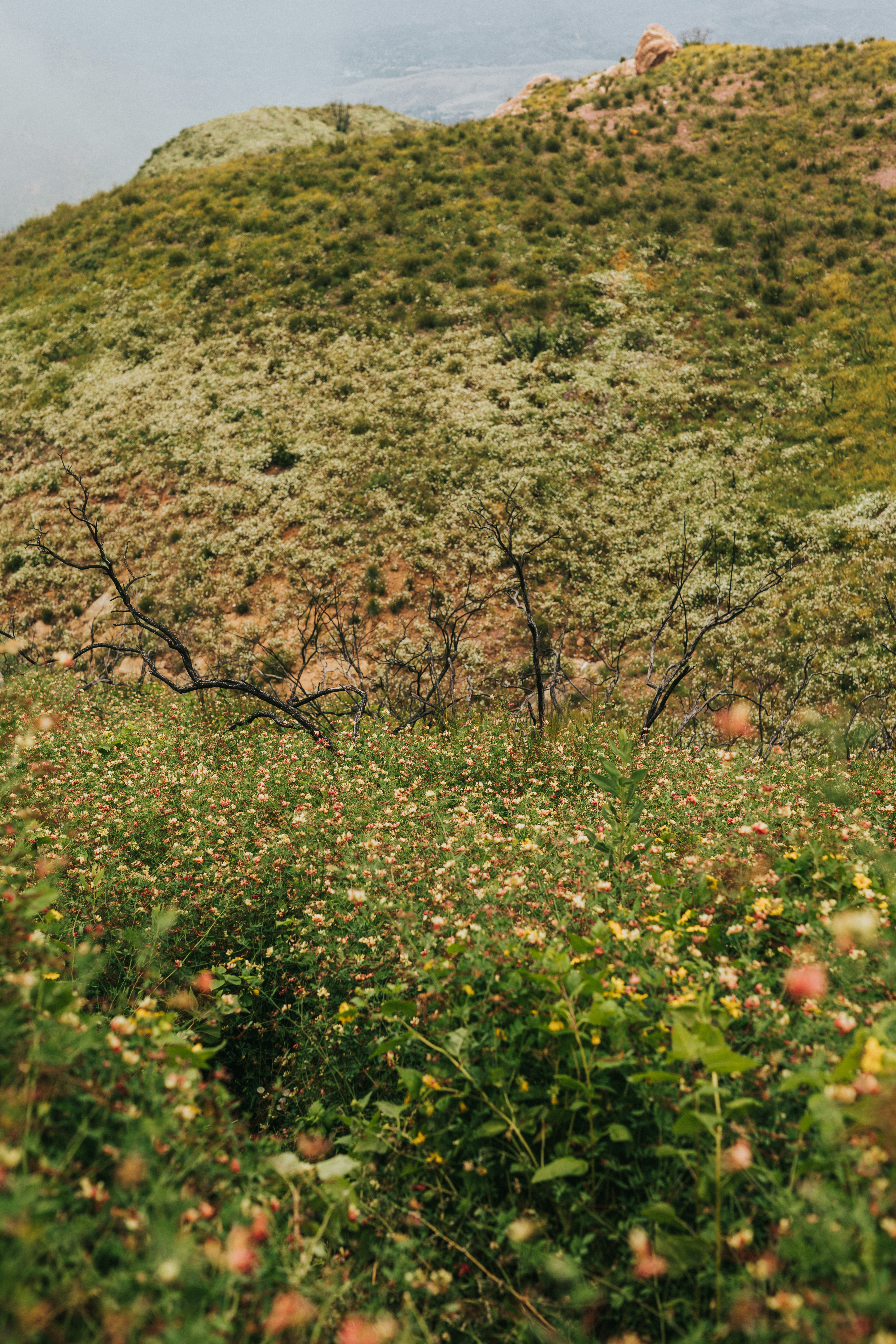 Photo by nate_dumlao