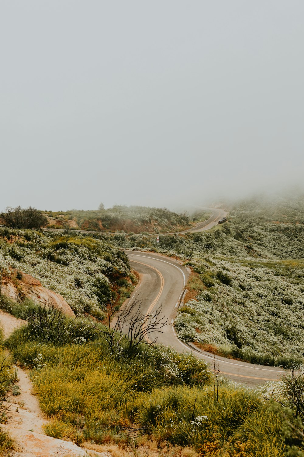 gray asphalt road between green grass field during daytime