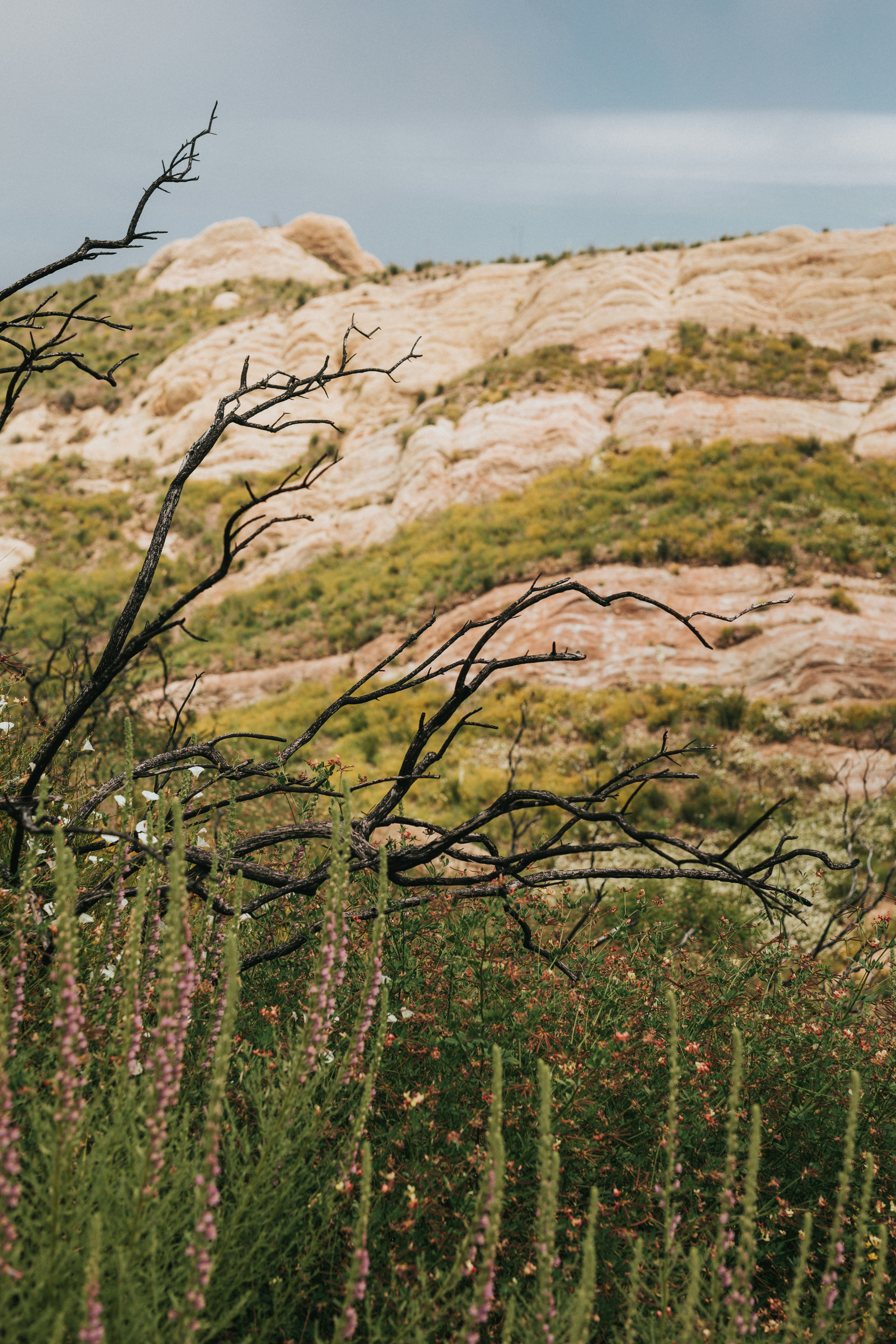 Photo by nate_dumlao