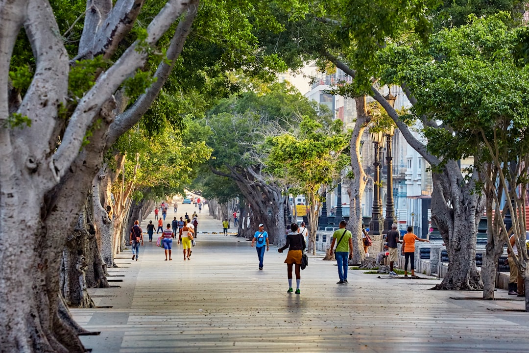 people walking on sidewalk during daytime