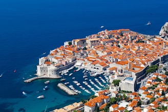 aerial view of city buildings near body of water during daytime