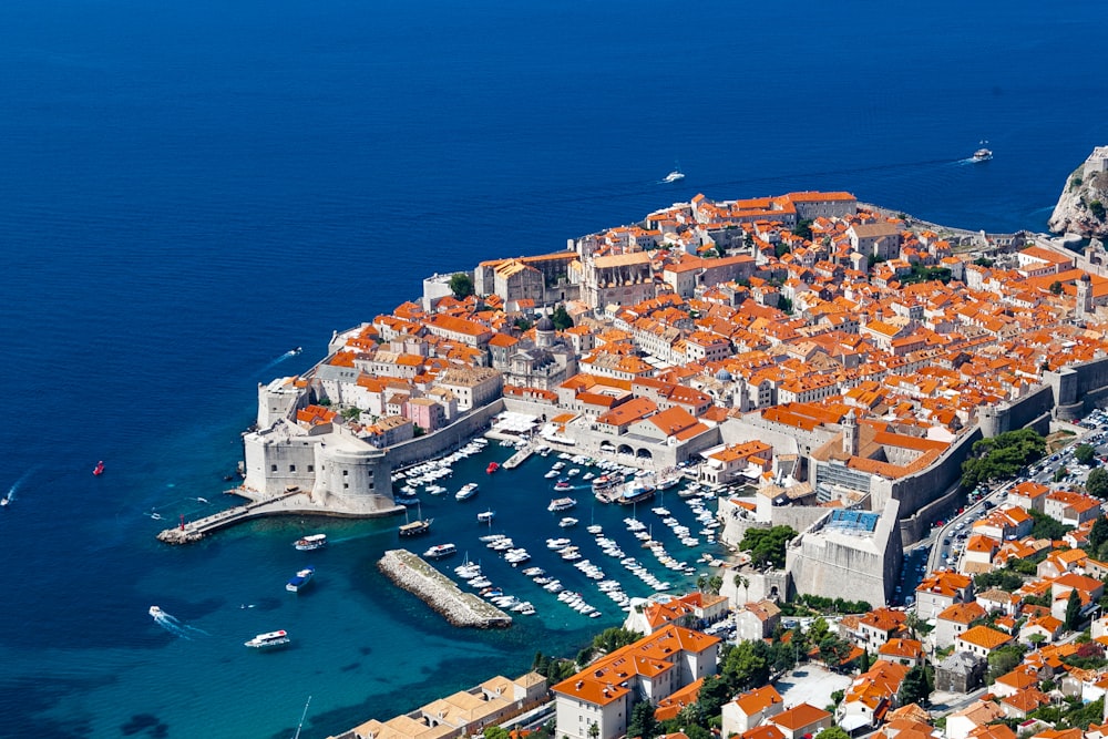 aerial view of city buildings near body of water during daytime