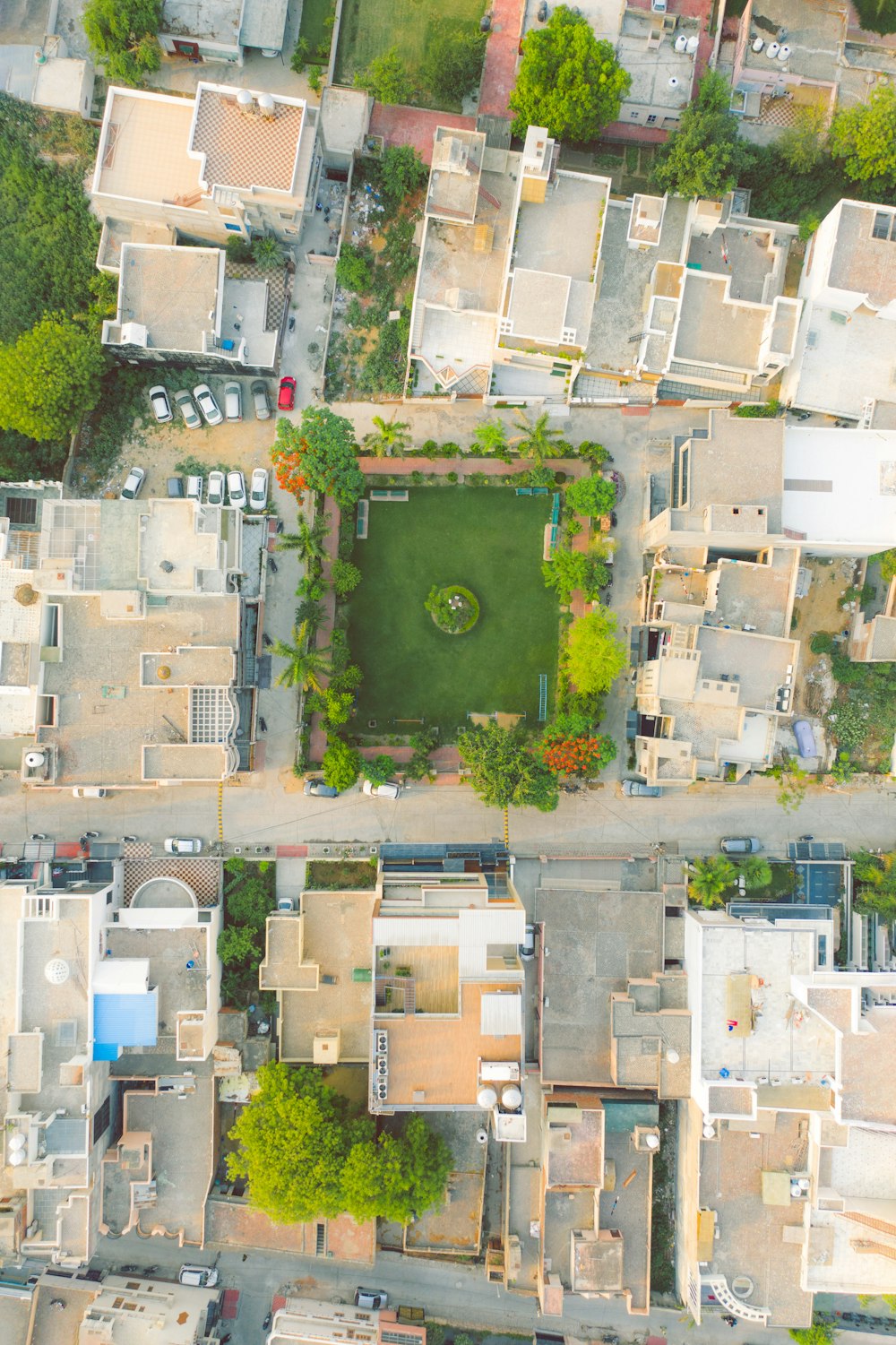 Vue aérienne d’un champ d’herbe verte