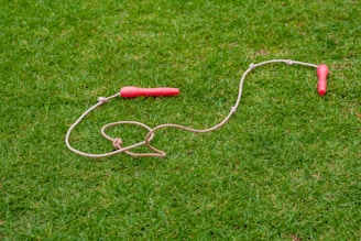 white and red coated wire on green grass