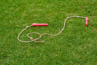 white and red coated wire on green grass