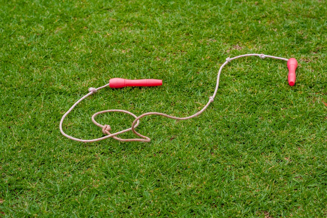 white and red coated wire on green grass