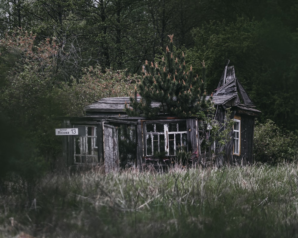 white and black wooden house surrounded by green trees during daytime