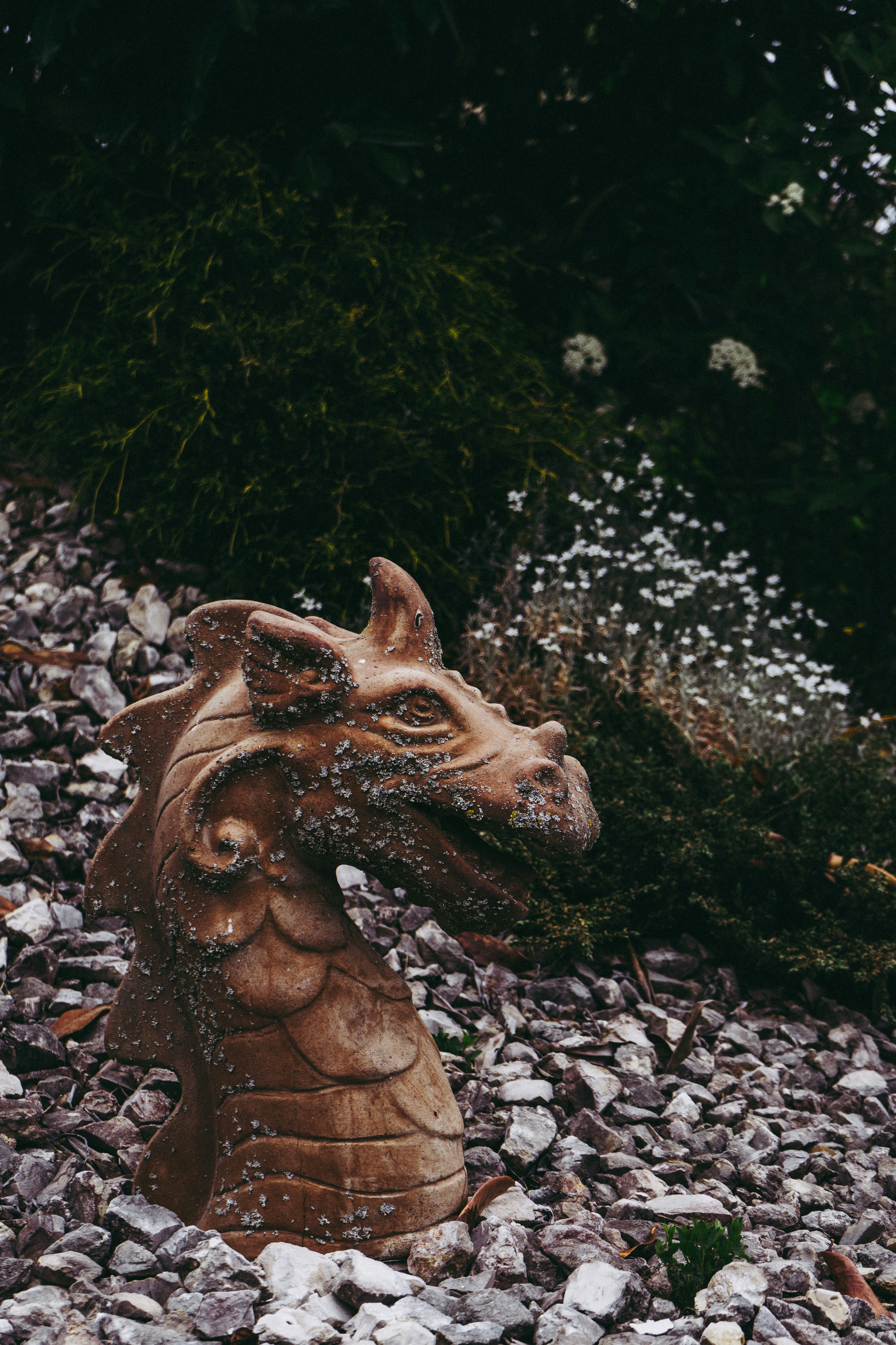 Photo by virussinside