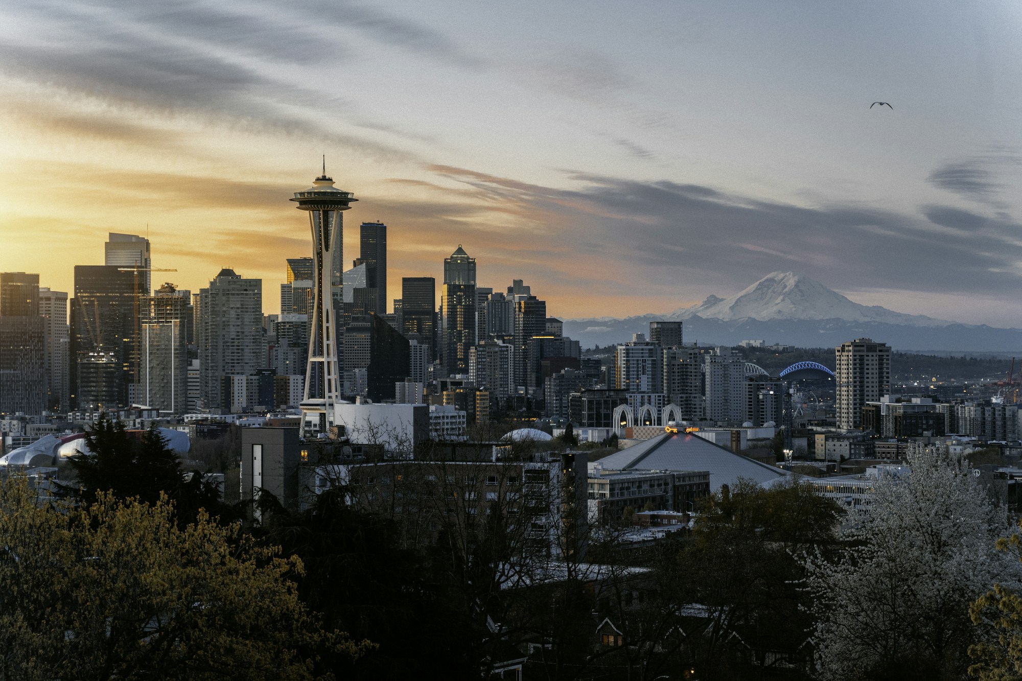 Seattle Culture & Traditions: History, Customs, Festivals