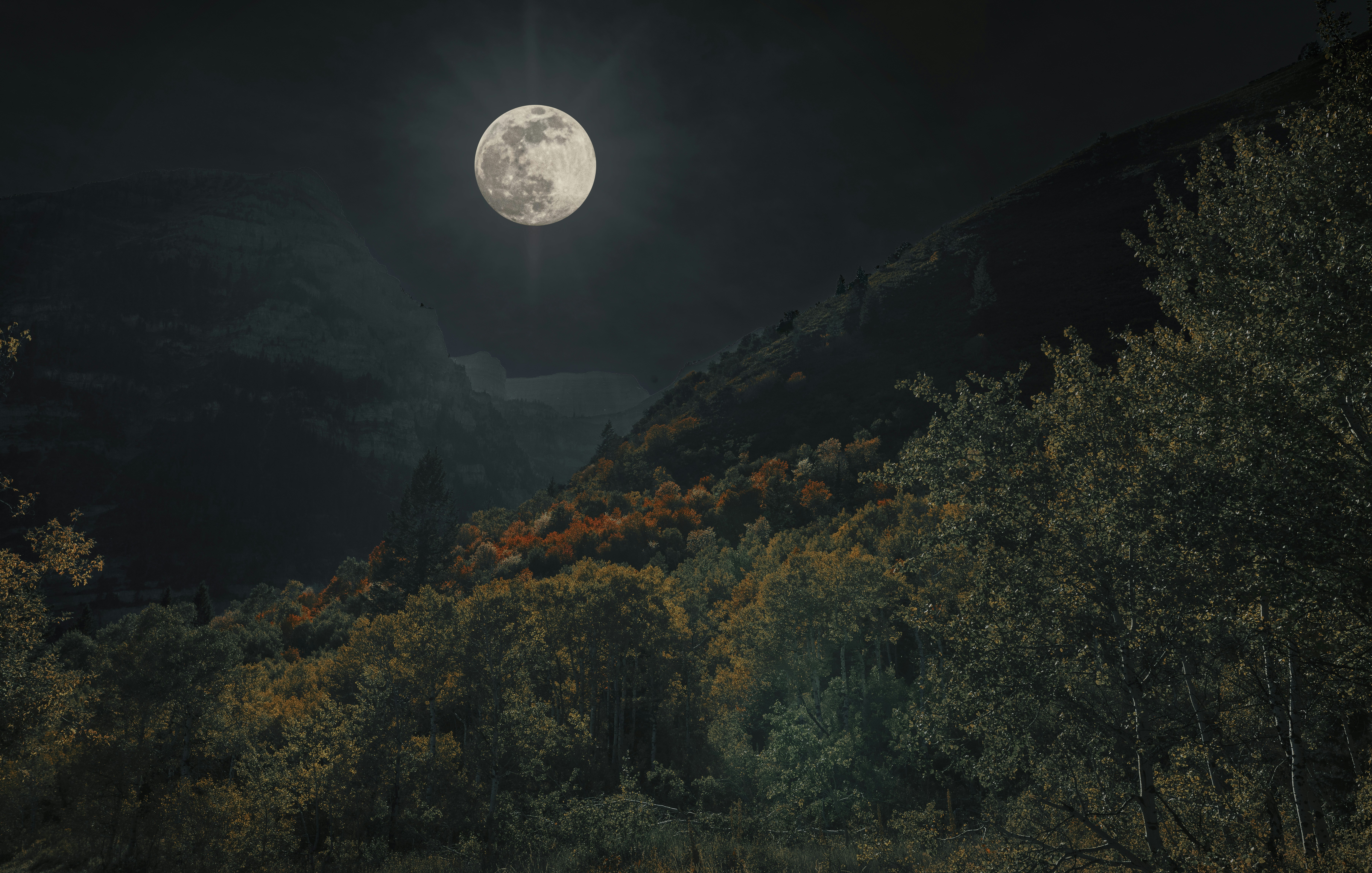 Photo by seitamaaphotography