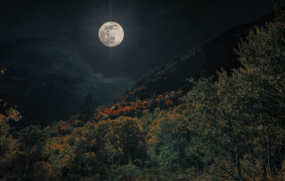 full moon over green trees and mountain