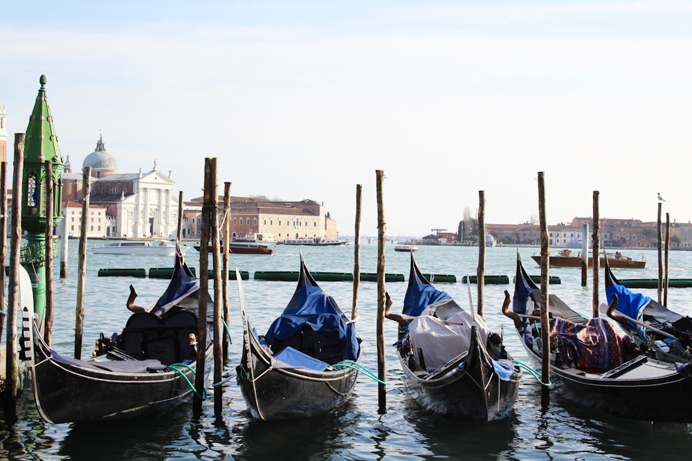 blue and brown boat on water during daytime