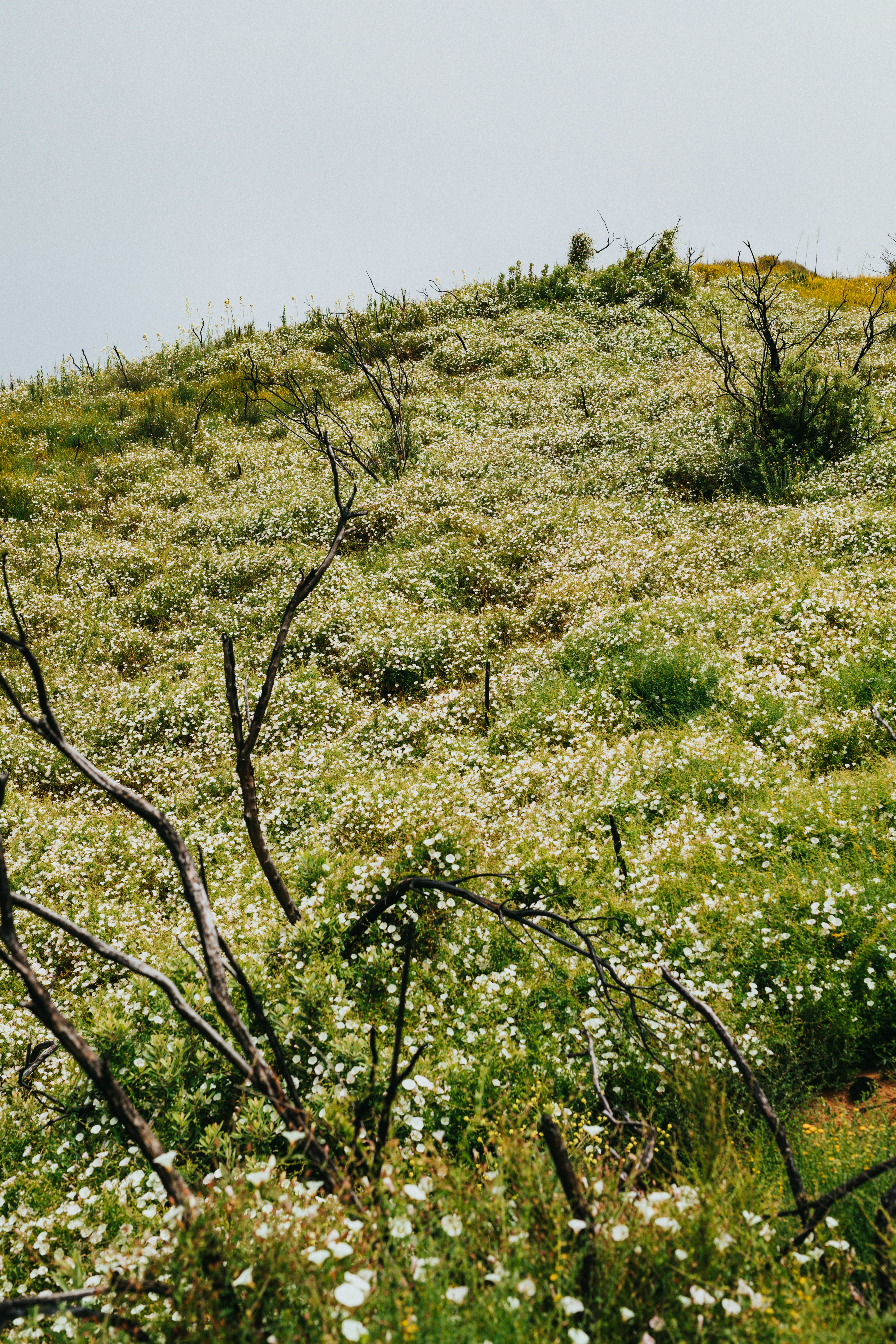 Photo by nate_dumlao