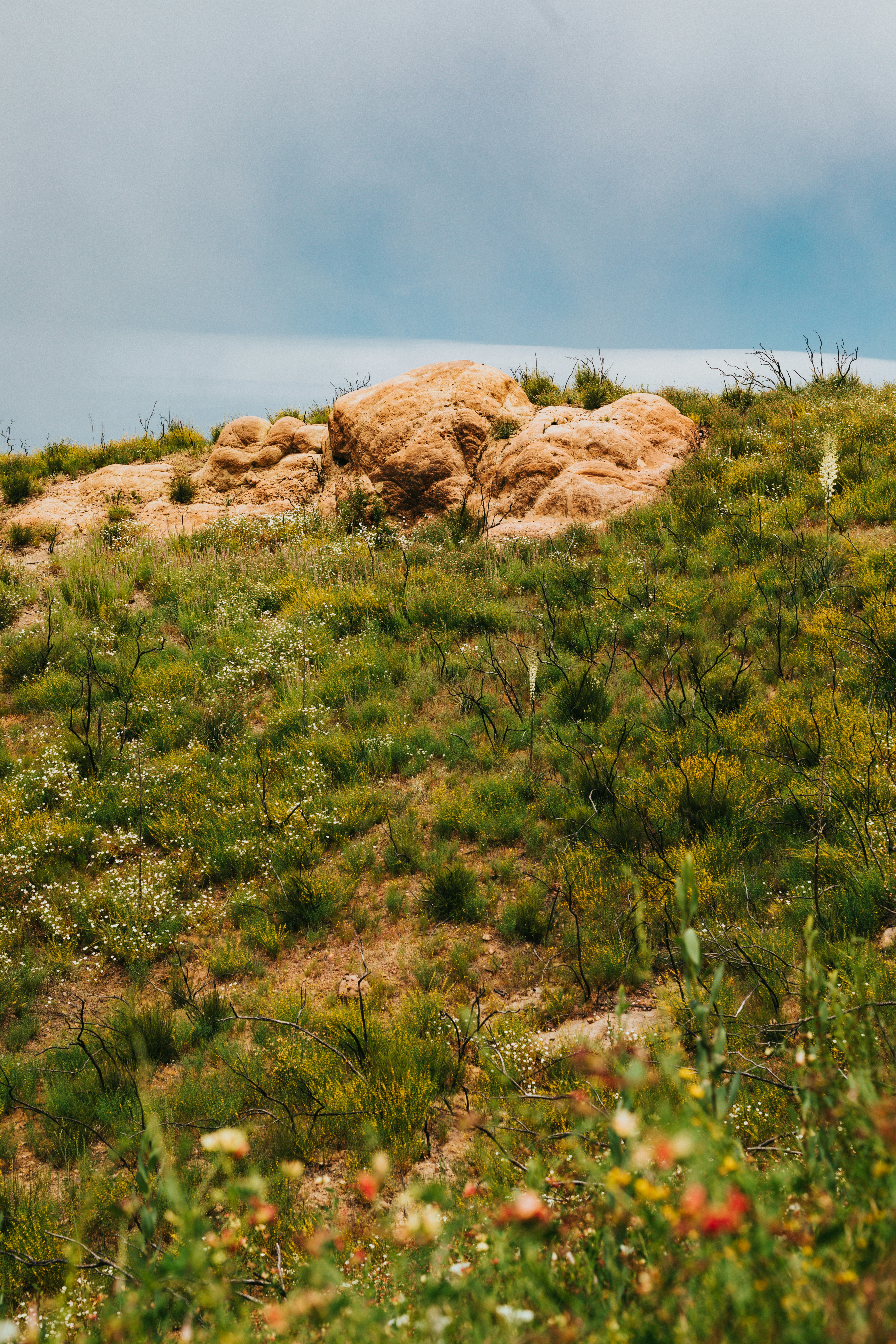 Photo by nate_dumlao