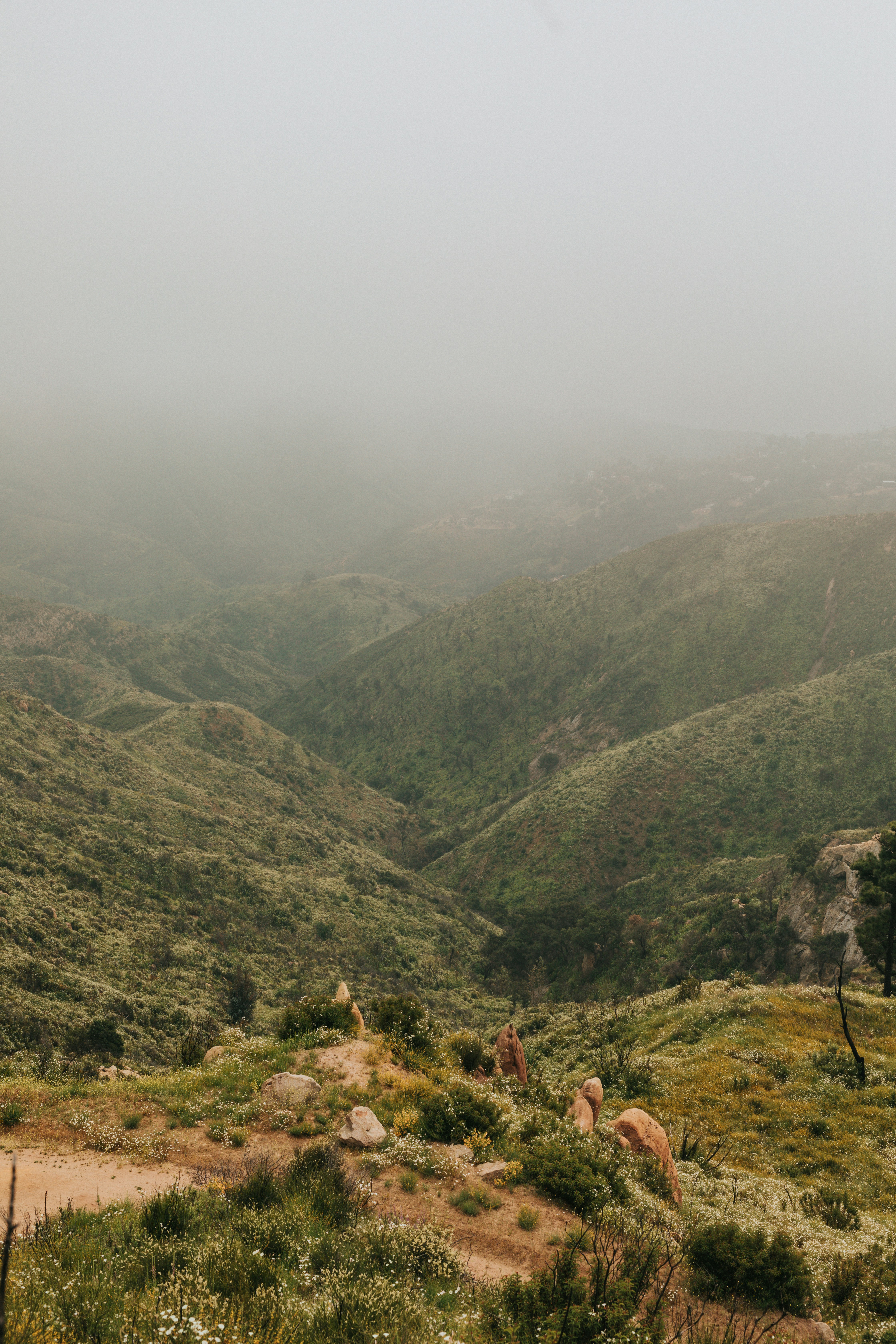 Photo by nate_dumlao