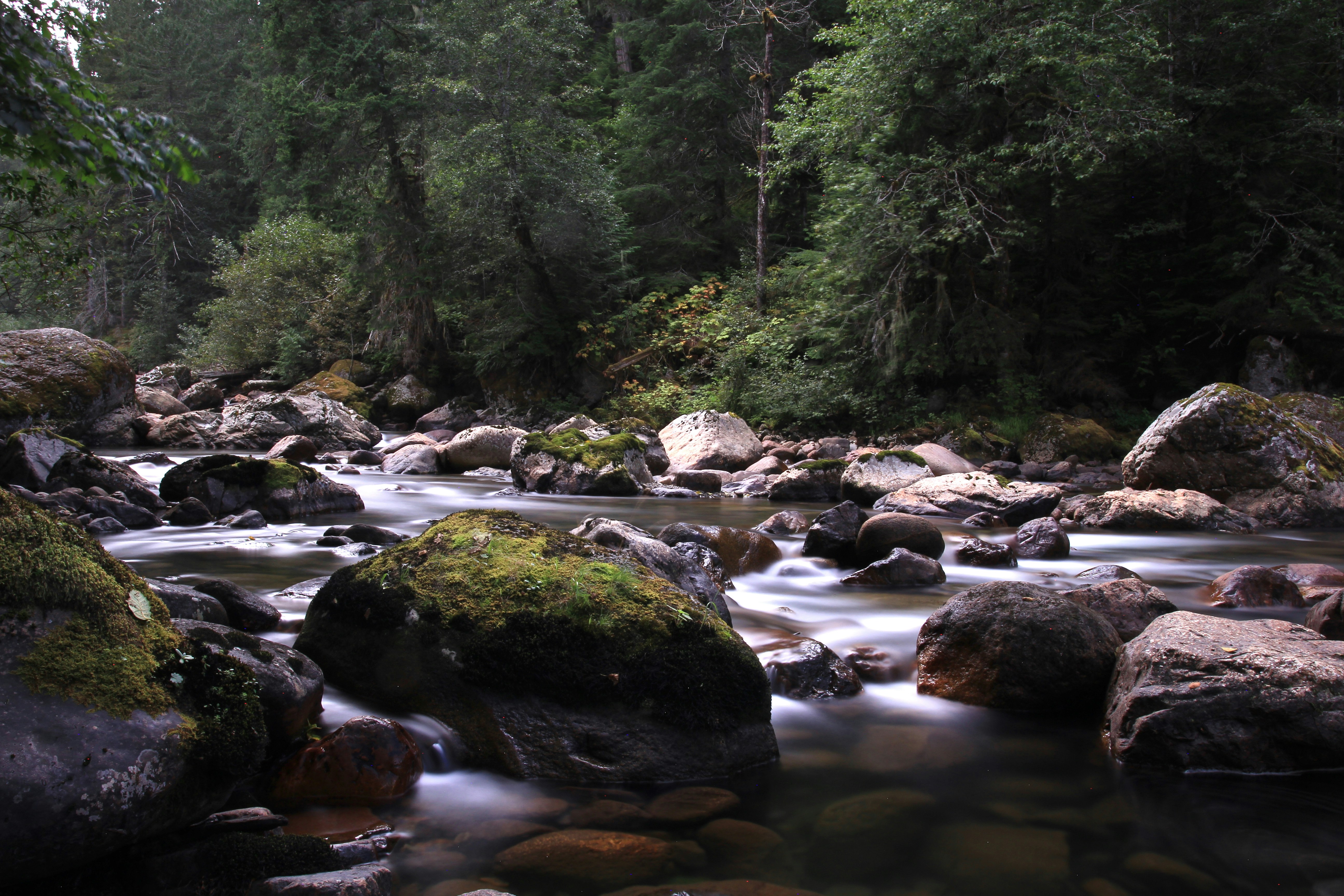 Photo by kburton2020