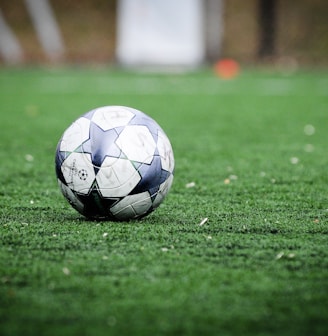 white and blue soccer ball on green grass field during daytime