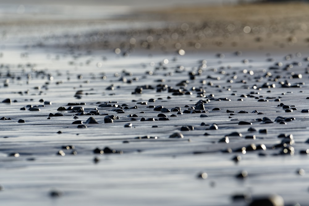 black and white stones on water during daytime