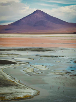 Colorful high-altitude lagoons with flamingos and rugged mountains in the background.