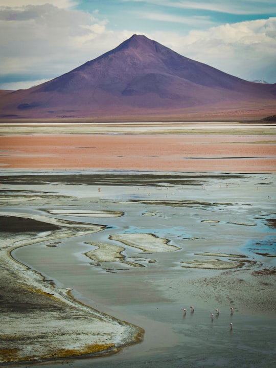 brown and white mountain near body of water during daytime in Uyuni Bolivia
