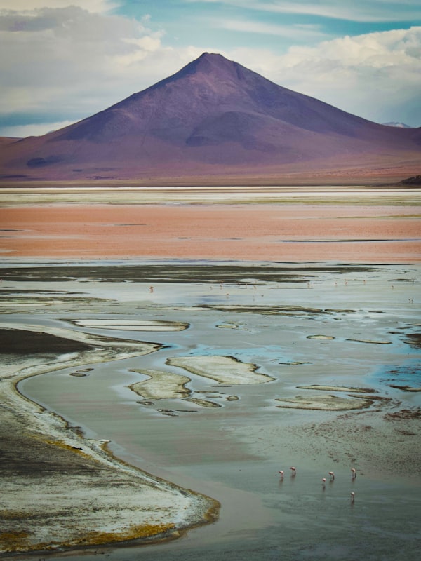 Trucha Arcoíris de Calacoto