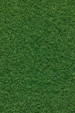 green grass field during daytime