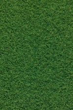 green grass field during daytime