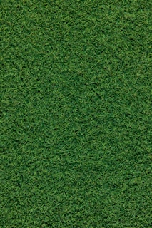 A dense, lush carpet of grass covers the entire surface, showcasing richly textured blades in varying shades of green.