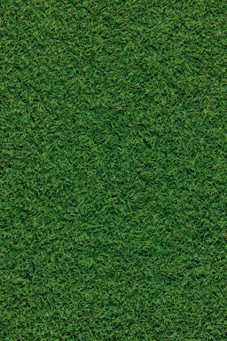 A dense, lush carpet of grass covers the entire surface, showcasing richly textured blades in varying shades of green.