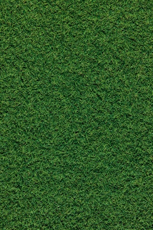 A dense, lush carpet of grass covers the entire surface, showcasing richly textured blades in varying shades of green.