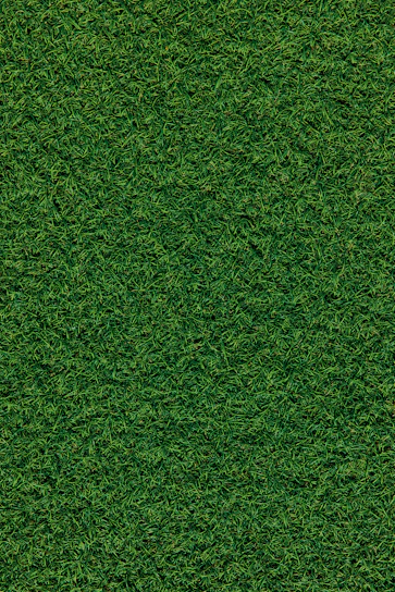 green grass field during daytime