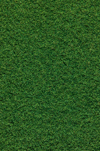 green grass field during daytime