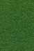 green grass field during daytime